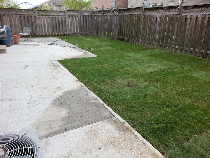 PAVER & CONCRETE WORK