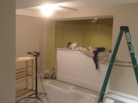 GENERAL RENOVATION - Basement